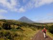 Hiking in the highland