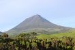 Highland from Pico