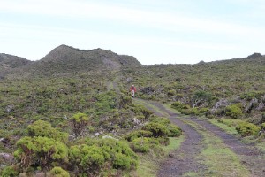 Hiking