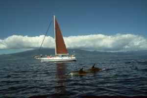 Segeln - Eine besondere Erfahrung